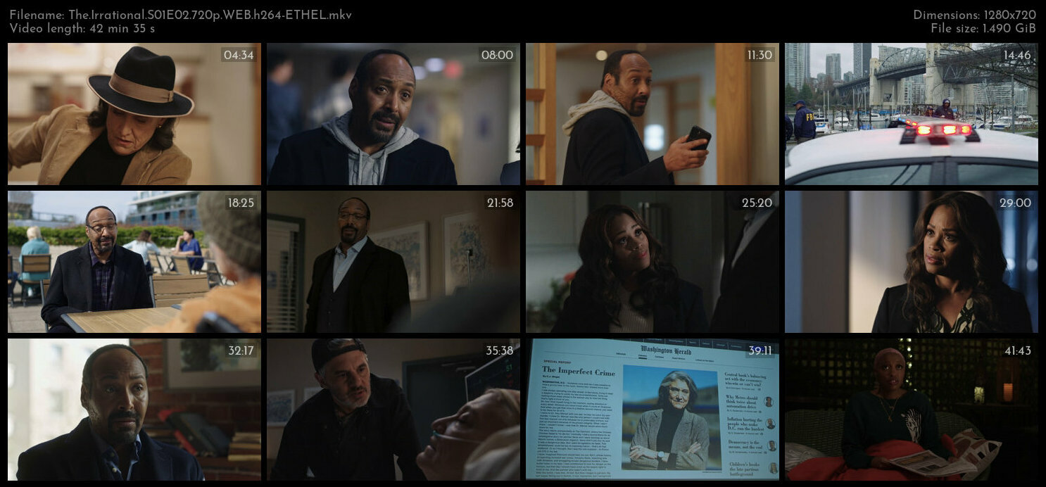 The Irrational S01E02 720p WEB h264 ETHEL TGx