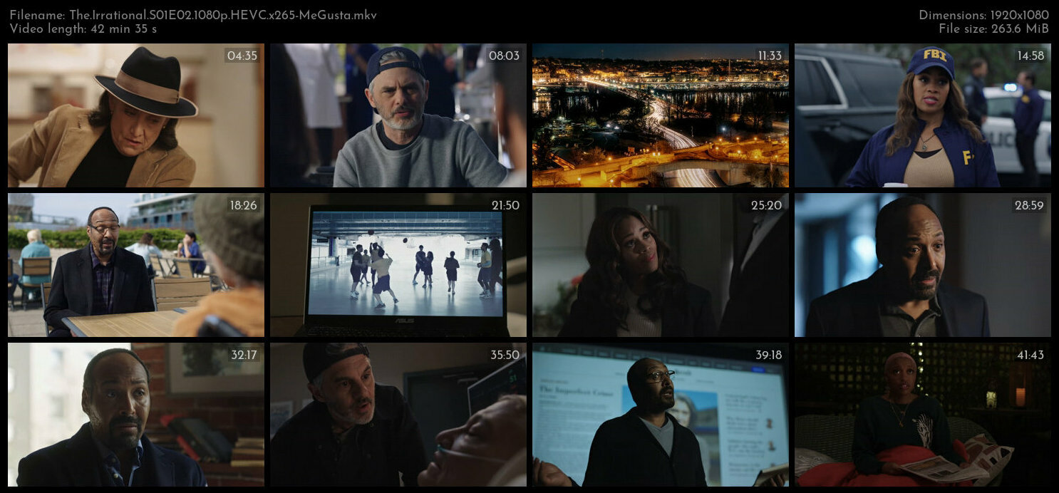 The Irrational S01E02 1080p HEVC x265 MeGusta TGx