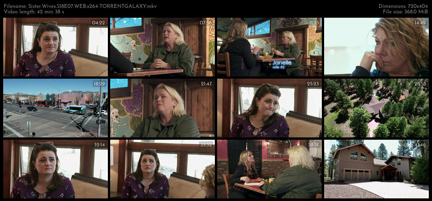 Sister Wives S18E07 WEB x264 TORRENTGALAXY