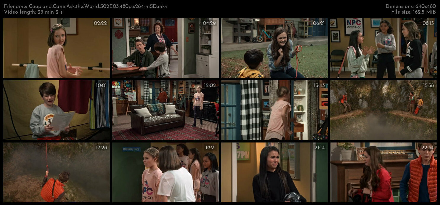 Coop and Cami Ask the World S02E03 480p x264 mSD TGx