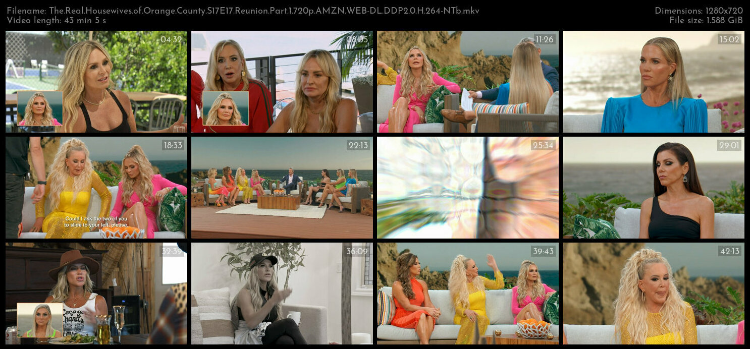 The Real Housewives of Orange County S17E17 Reunion Part 1 720p AMZN WEB DL DDP2 0 H 264 NTb TGx