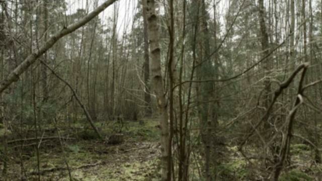 The Walking Dead Daryl Dixon S01E05 XviD AFG TGx