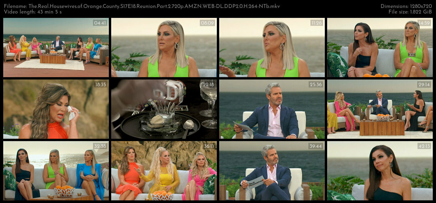 The Real Housewives of Orange County S17E18 Reunion Part 2 720p AMZN WEB DL DDP2 0 H 264 NTb TGx