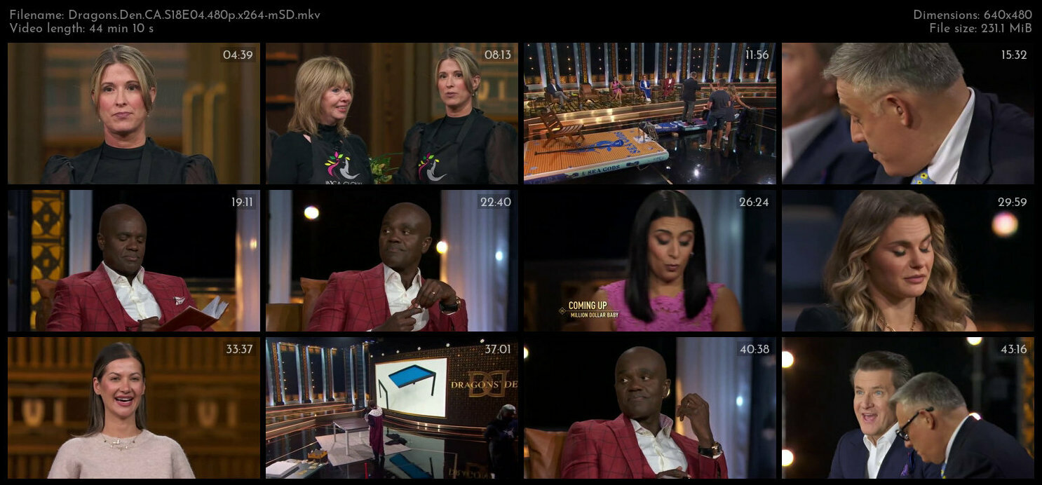 Dragons Den CA S18E04 480p x264 mSD TGx