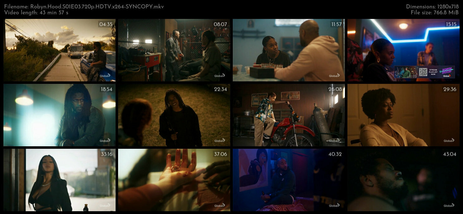 Robyn Hood S01E03 720p HDTV x264 SYNCOPY TGx