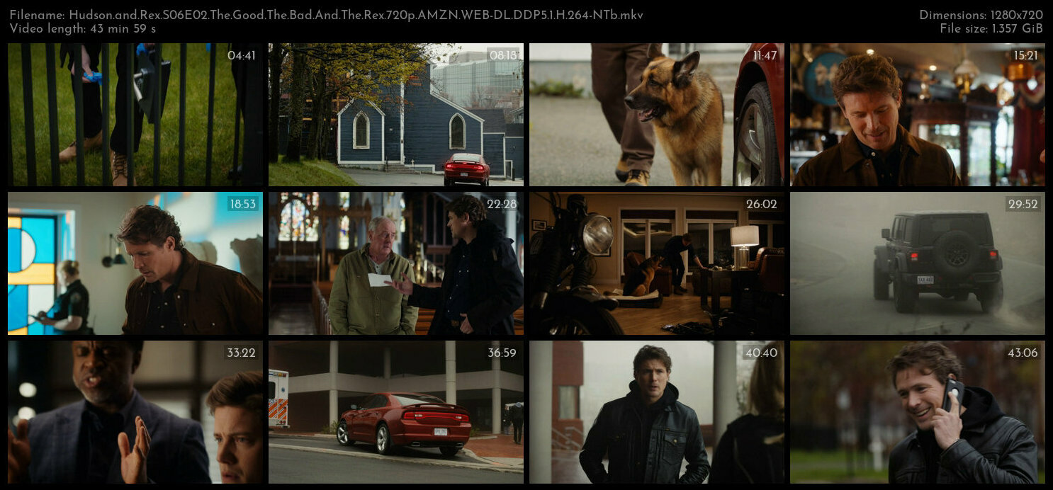 Hudson and Rex S06E02 The Good The Bad And The Rex 720p AMZN WEB DL DDP5 1 H 264 NTb TGx