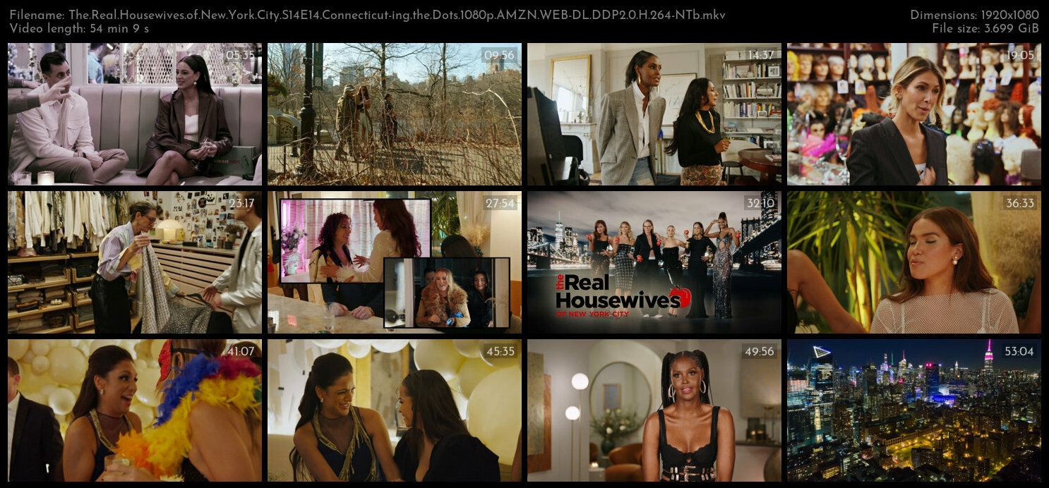 The Real Housewives of New York City S14E14 Connecticut ing the Dots 1080p AMZN WEB DL DDP2 0 H 264