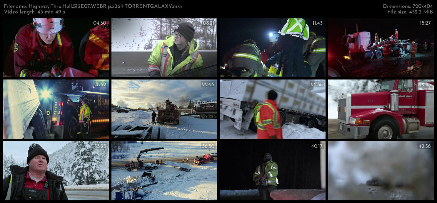 Highway Thru Hell S12E07 WEBRip x264 TORRENTGALAXY