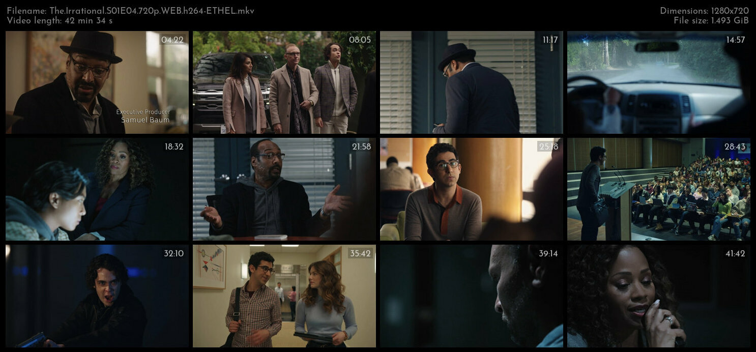 The Irrational S01E04 720p WEB h264 ETHEL TGx