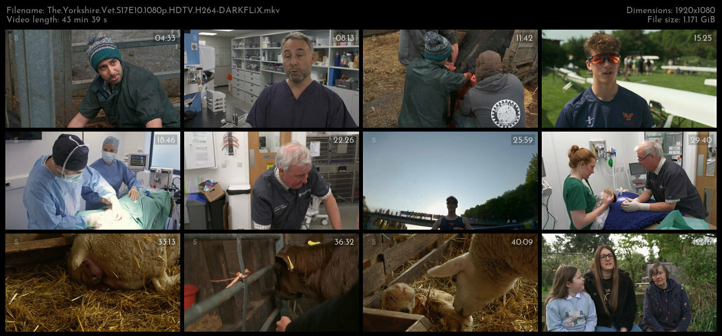 The Yorkshire Vet S17E10 1080p HDTV H264 DARKFLiX TGx