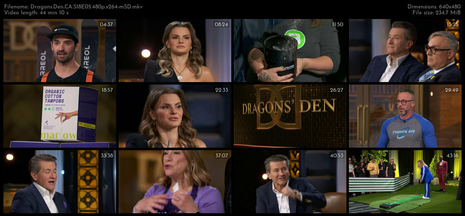 Dragons Den CA S18E05 480p x264 mSD TGx