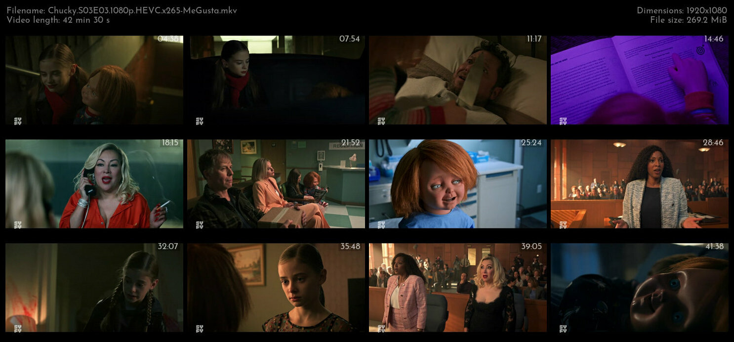 Chucky S03E03 1080p HEVC x265 MeGusta TGx