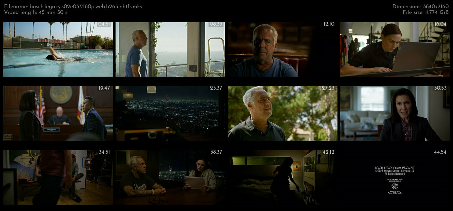 Bosch Legacy S02E03 2160p WEB H265 NHTFS TGx