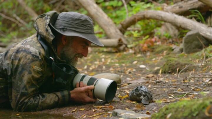 Nature S42E01 WEB x264 TORRENTGALAXY