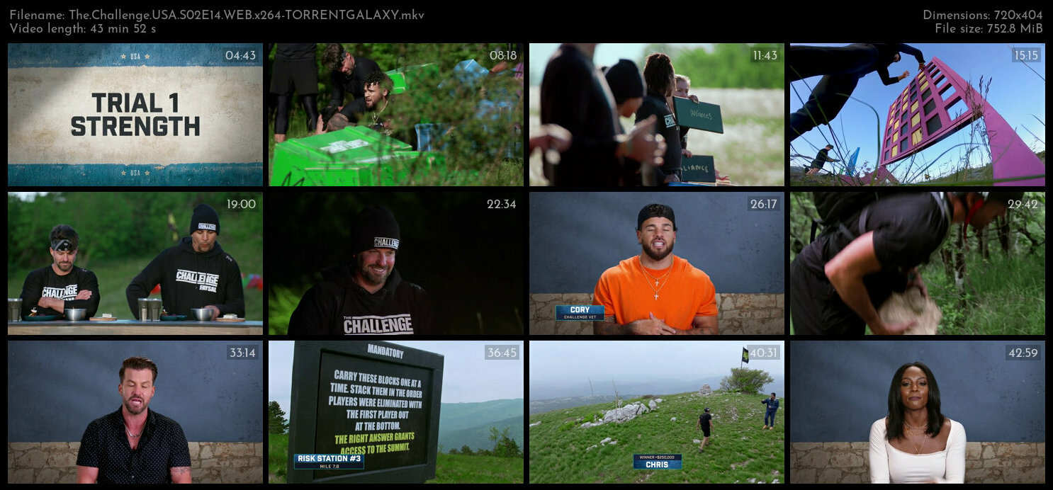 The Challenge USA S02E14 WEB x264 TORRENTGALAXY