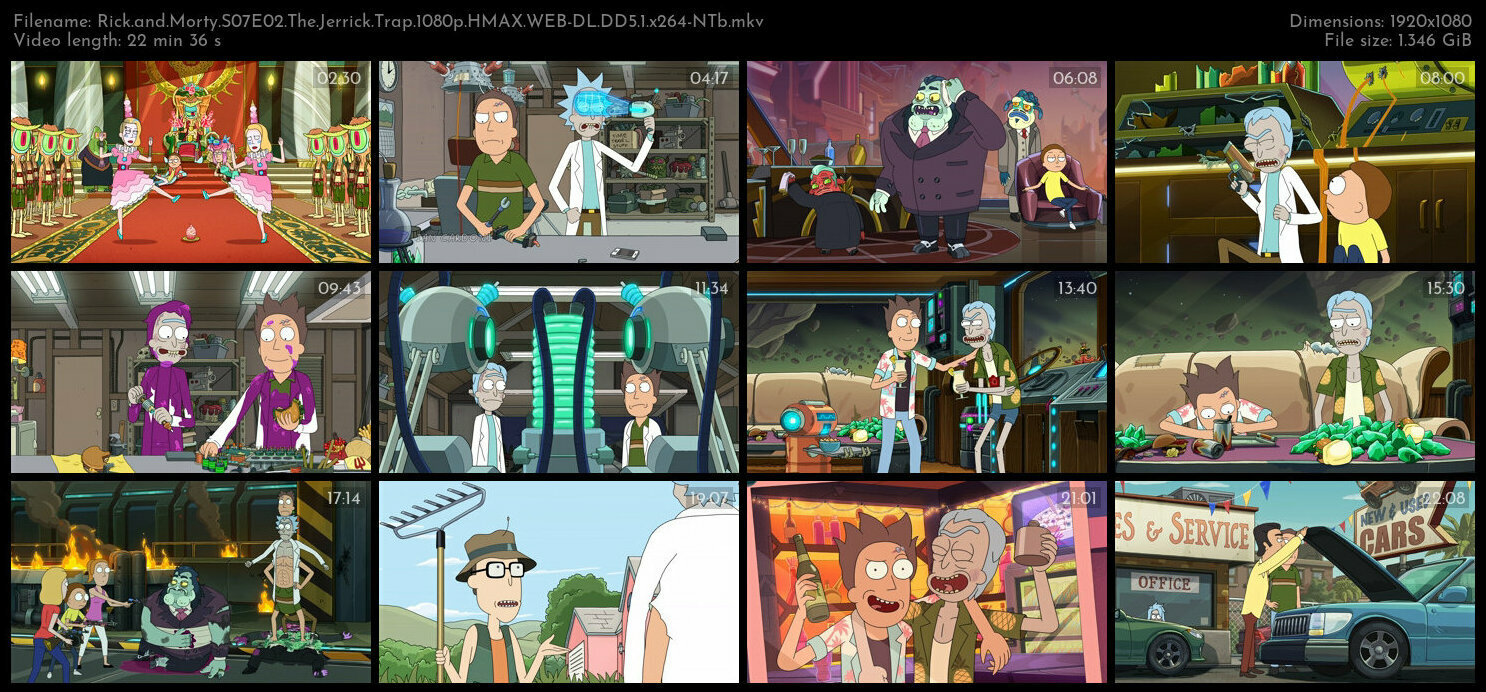 Rick and Morty S07E02 The Jerrick Trap 1080p HMAX WEB DL DD5 1 x264 NTb TGx
