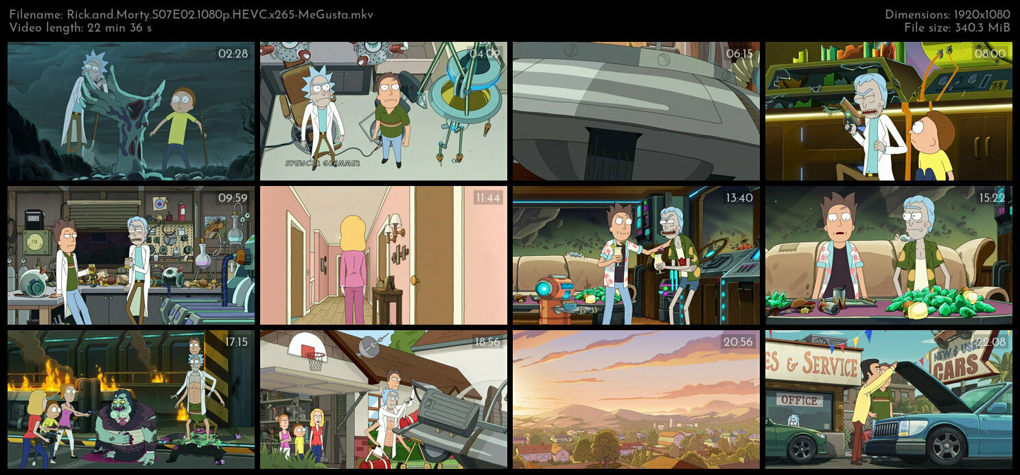 Rick and Morty S07E02 1080p HEVC x265 MeGusta TGx