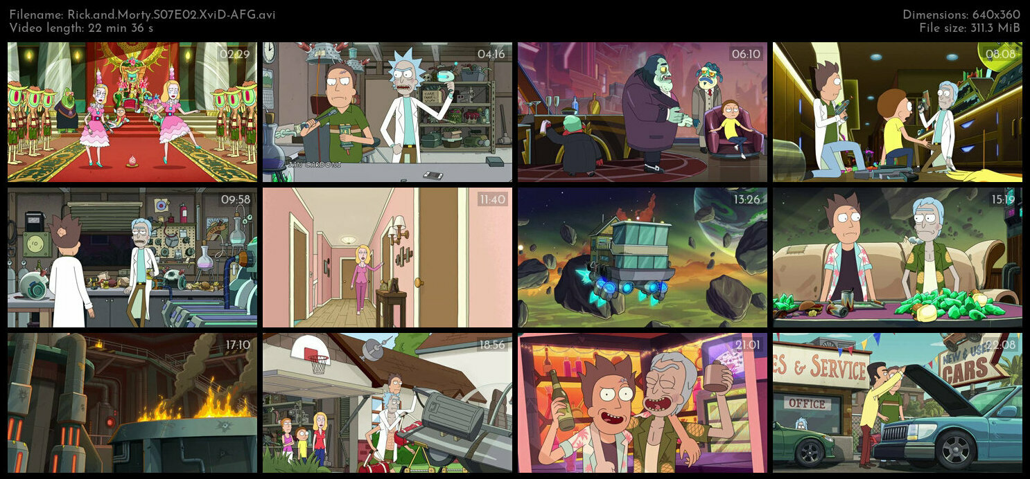 Rick and Morty S07E02 XviD AFG TGx