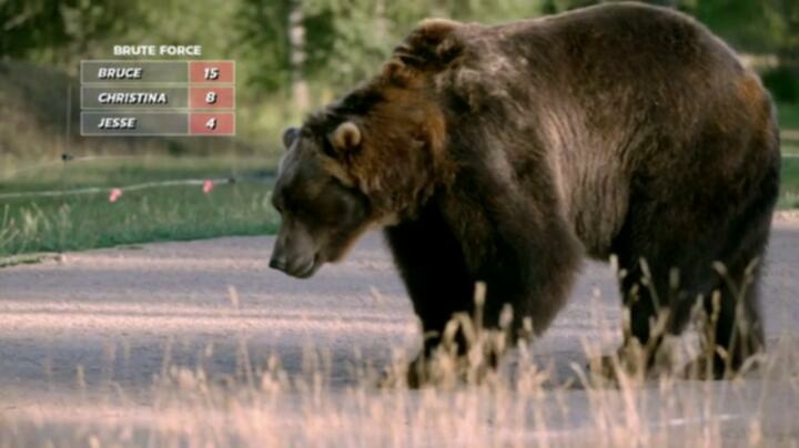Man vs Bear S01E05 WEB x264 TORRENTGALAXY