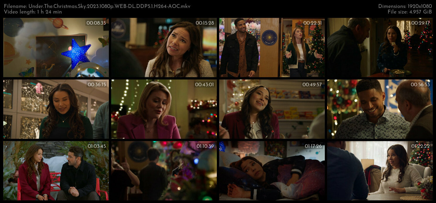 Under The Christmas Sky 2023 1080p WEB DL DDP5 1 H264 AOC TGx