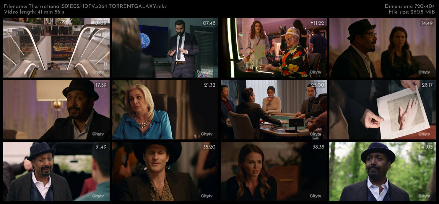 The Irrational S01E05 HDTV x264 TORRENTGALAXY