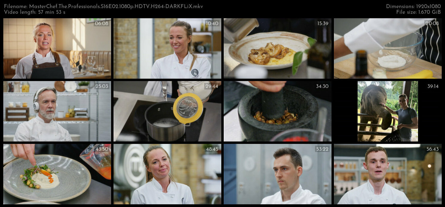 MasterChef The Professionals S16E02 1080p HDTV H264 DARKFLiX TGx