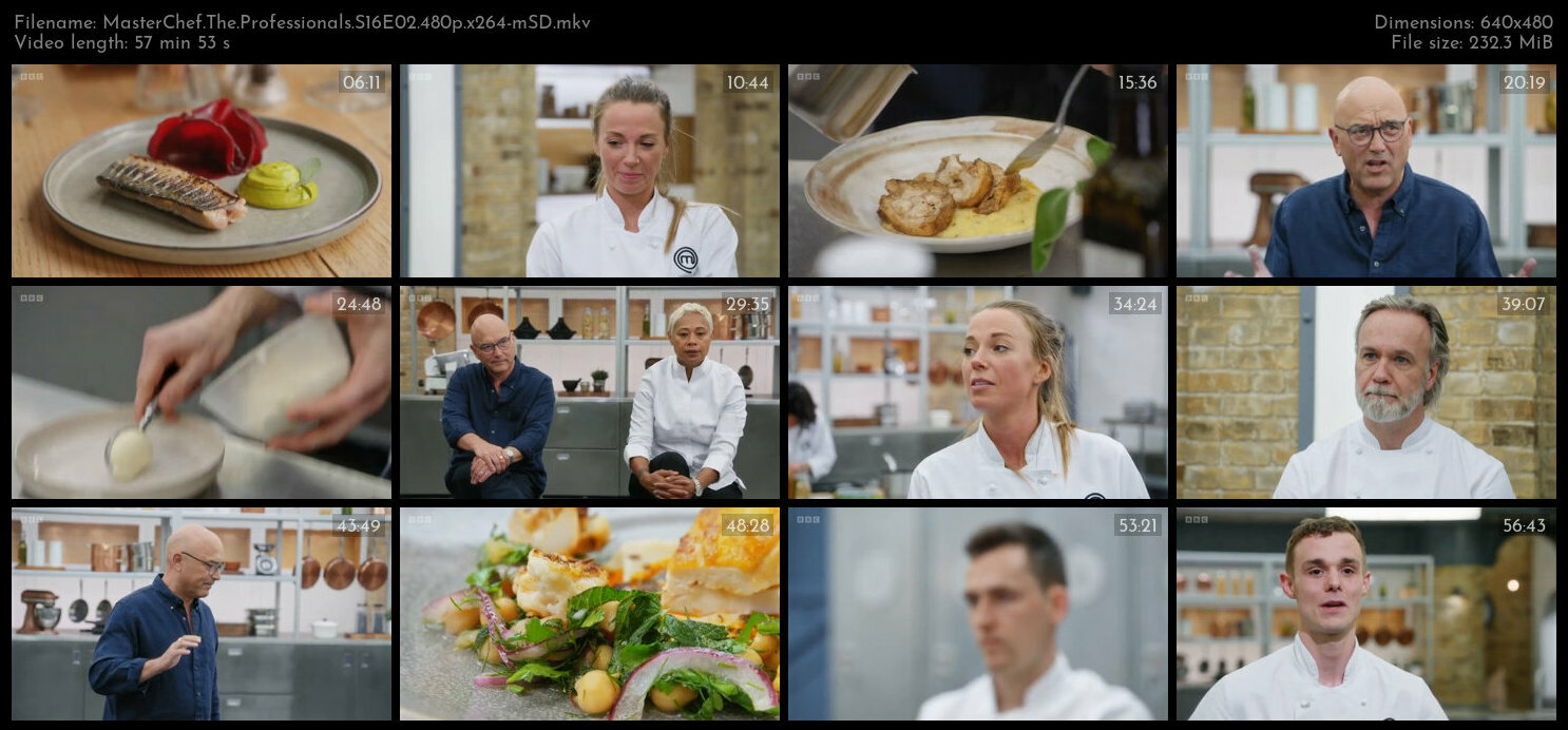 MasterChef The Professionals S16E02 480p x264 mSD TGx