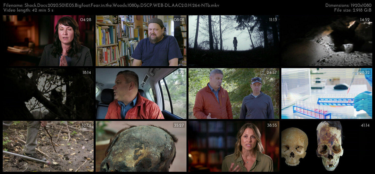 Shock Docs 2020 S01E05 Bigfoot Fear in the Woods 1080p DSCP WEB DL AAC2 0 H 264 NTb TGx