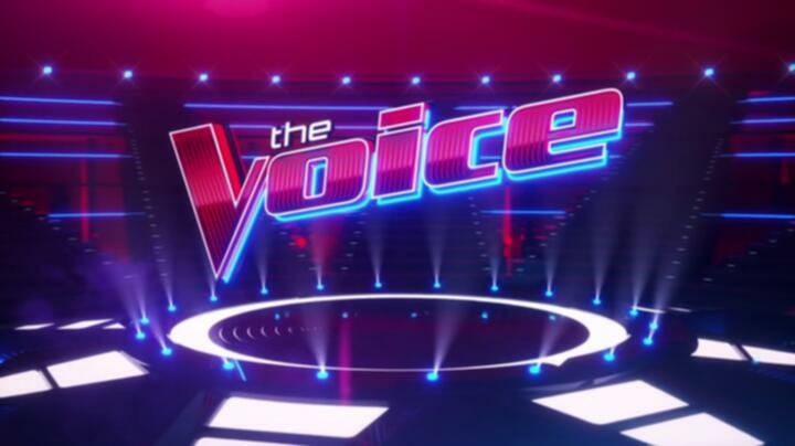 The Voice S24E10 WEB x264 TORRENTGALAXY