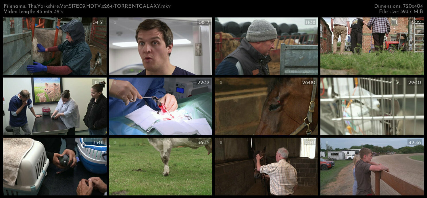 The Yorkshire Vet S17E09 HDTV x264 TORRENTGALAXY