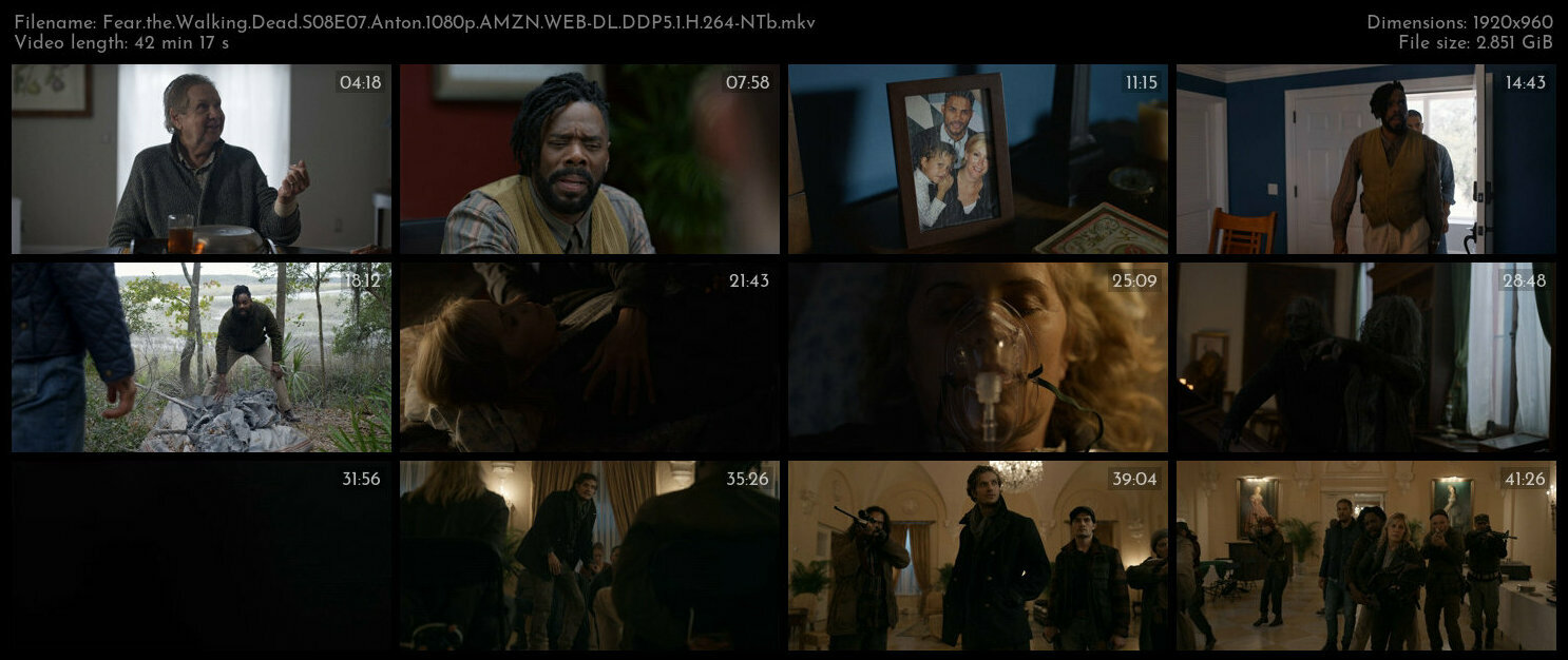 Fear the Walking Dead S08E07 Anton 1080p AMZN WEB DL DDP5 1 H 264 NTb TGx