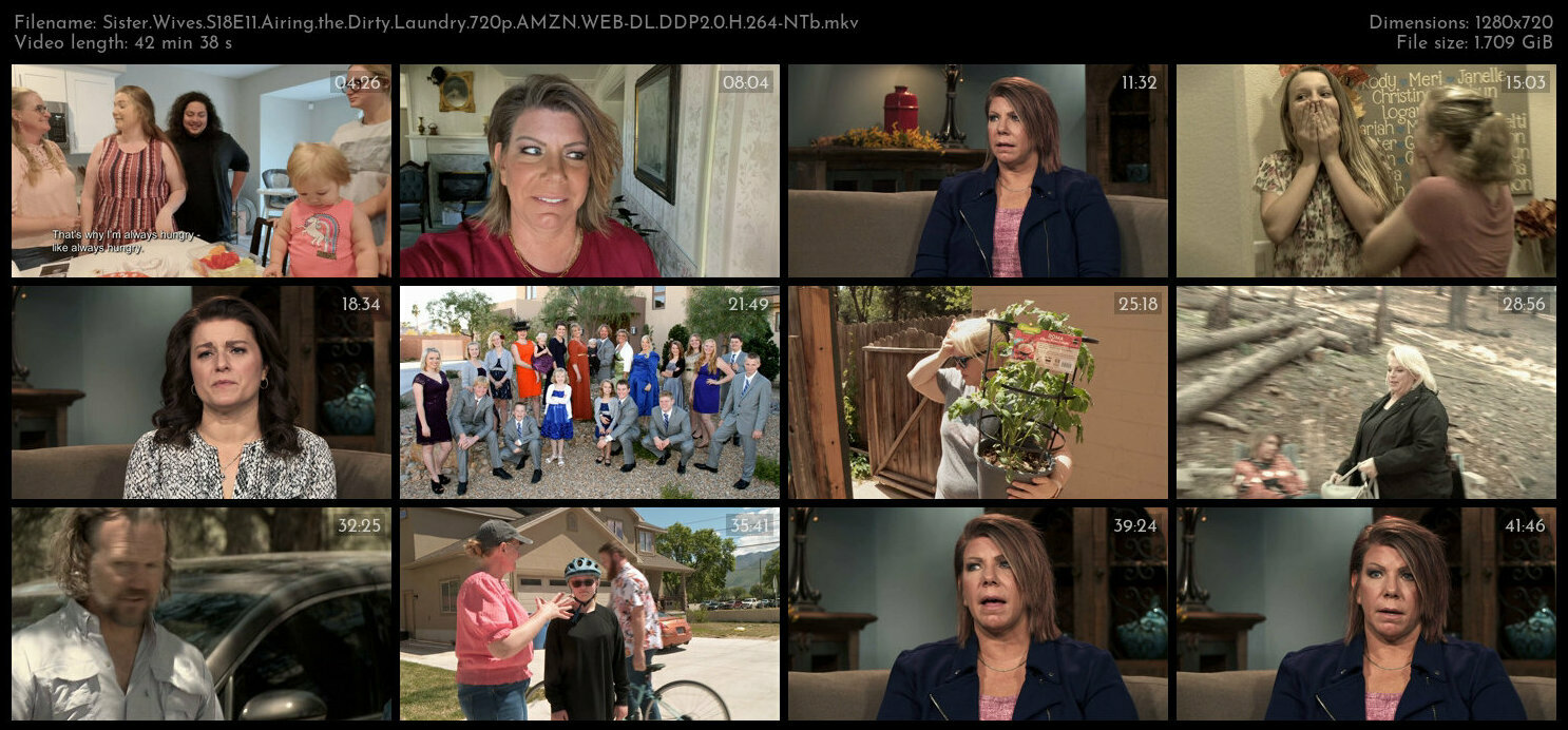 Sister Wives S18E11 Airing the Dirty Laundry 720p AMZN WEB DL DDP2 0 H 264 NTb TGx