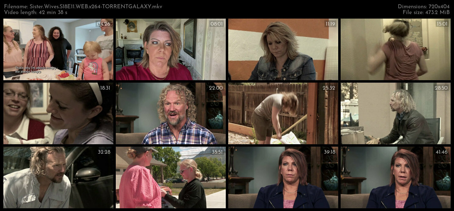 Sister Wives S18E11 WEB x264 TORRENTGALAXY