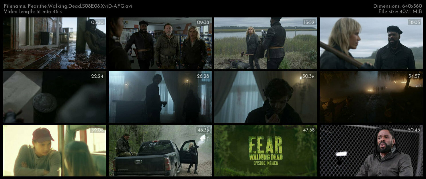 Fear the Walking Dead S08E08 XviD AFG TGx