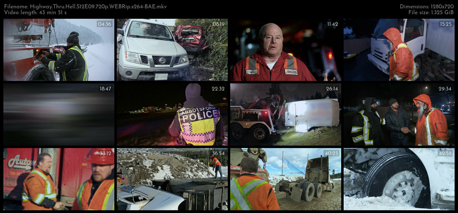 Highway Thru Hell S12E09 720p WEBRip x264 BAE TGx