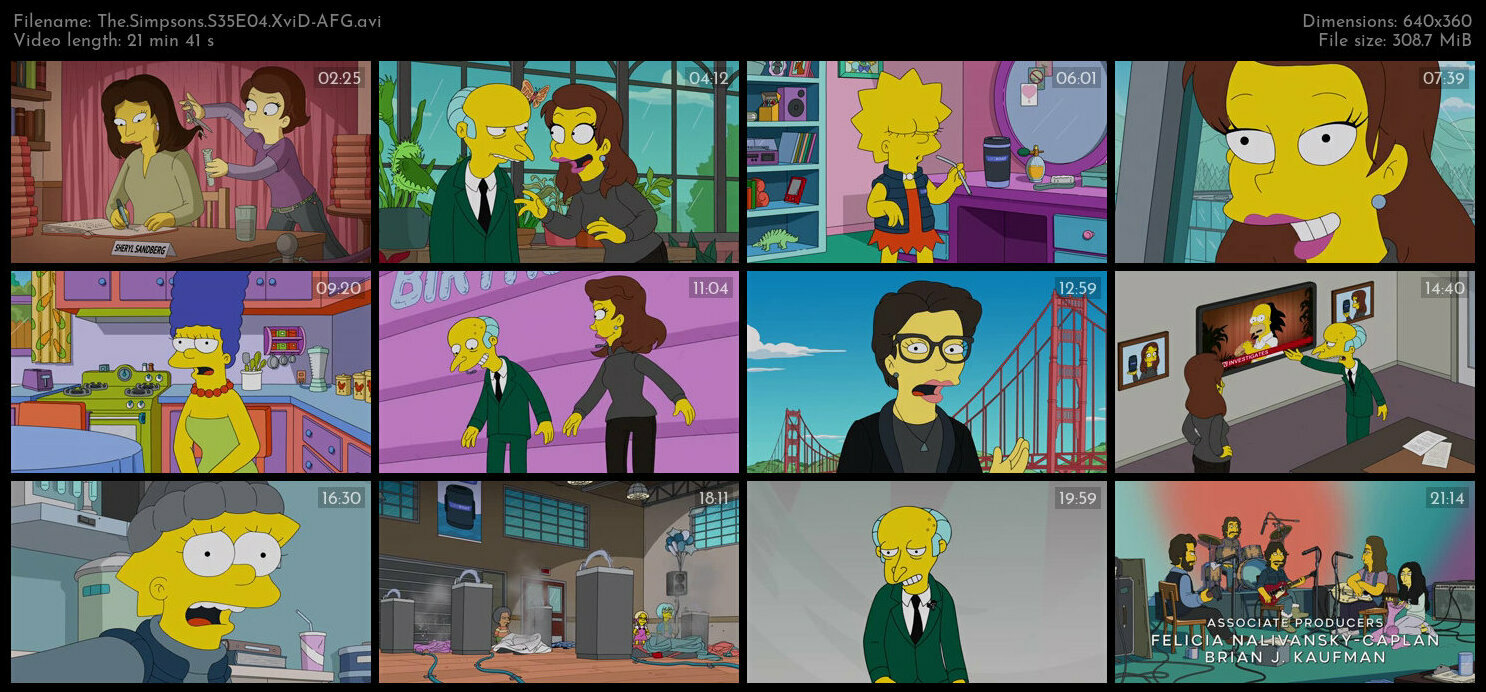 The Simpsons S35E04 XviD AFG TGx