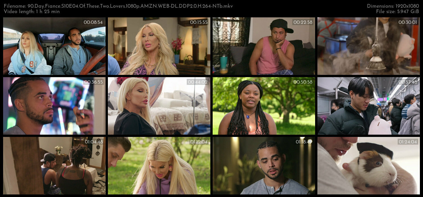 90 Day Fiance S10E04 Of These Two Lovers 1080p AMZN WEB DL DDP2 0 H 264 NTb TGx
