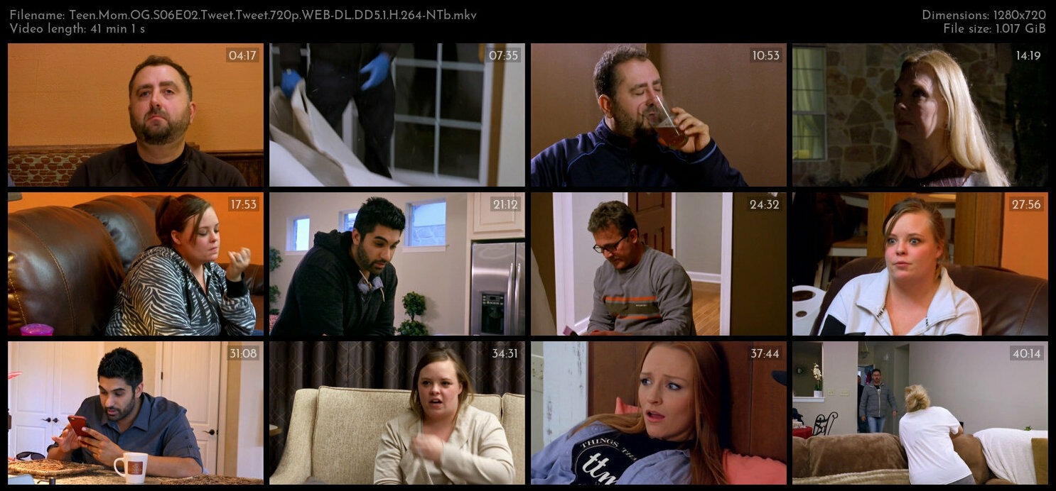 Teen Mom OG S06E02 Tweet Tweet 720p WEB DL DD5 1 H 264 NTb TGx