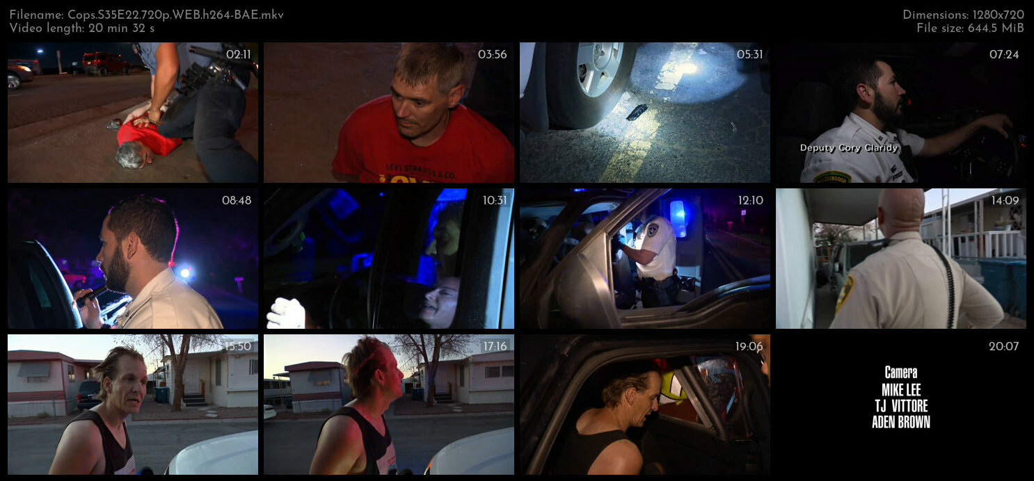 Cops S35E22 720p WEB h264 BAE TGx