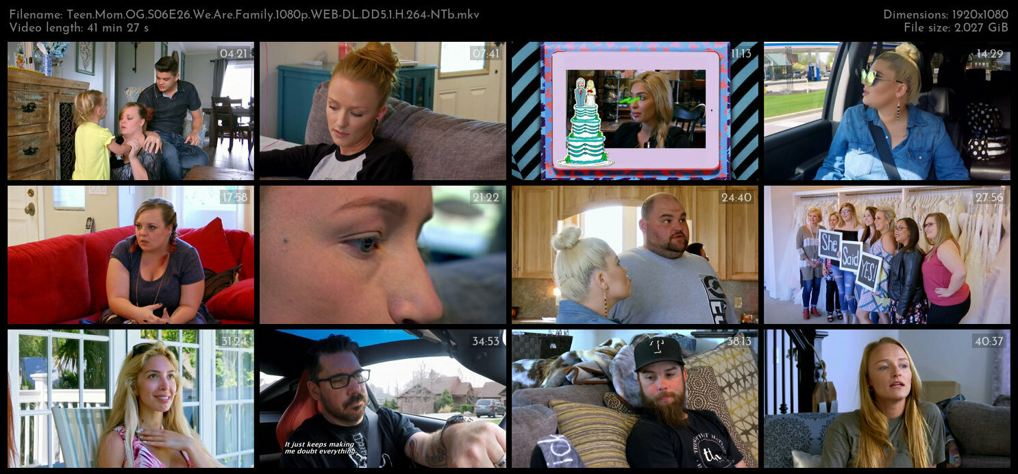 Teen Mom OG S06E26 We Are Family 1080p WEB DL DD5 1 H 264 NTb TGx