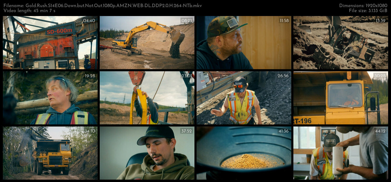 Gold Rush S14E06 Down but Not Out 1080p AMZN WEB DL DDP2 0 H 264 NTb TGx