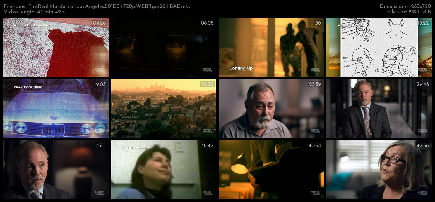 The Real Murders of Los Angeles S01E04 720p WEBRip x264 BAE TGx