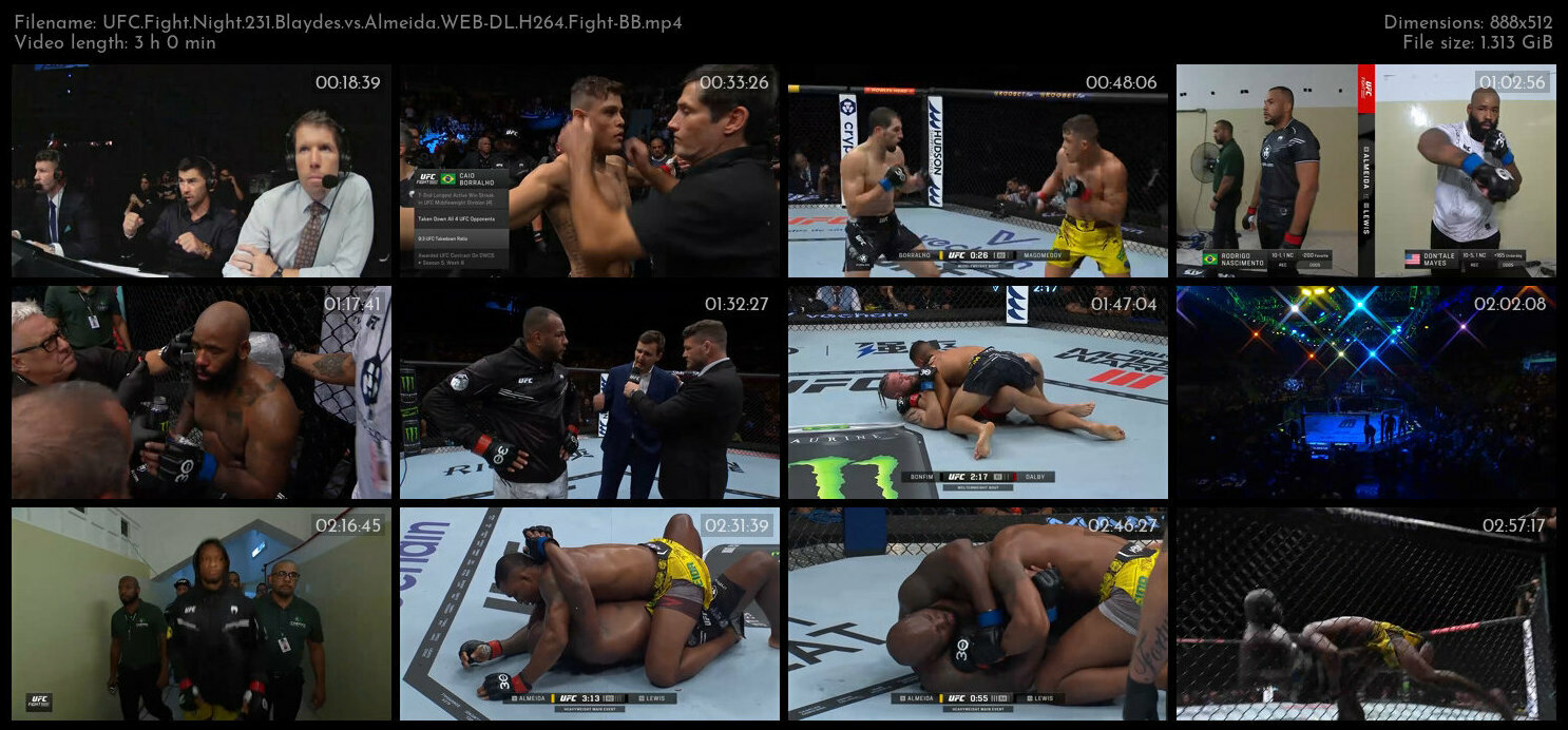 UFC Fight Night 231 Blaydes vs Almeida WEB DL H264 Fight BB