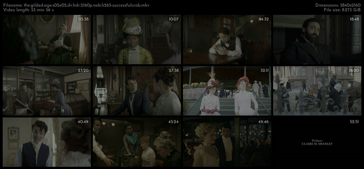 The Gilded Age S02E02 DV HDR 2160p WEB H265 SuccessfulCrab TGx