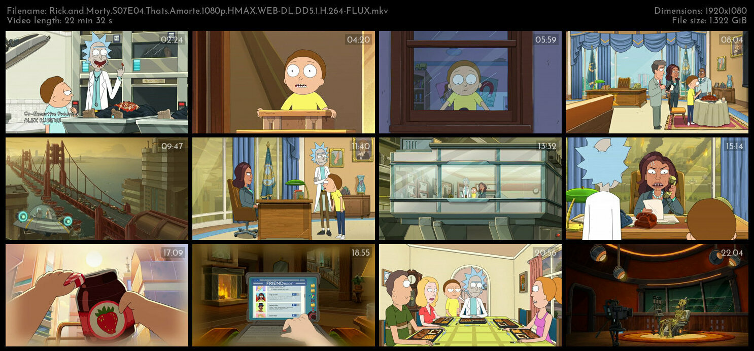 Rick and Morty S07E04 Thats Amorte 1080p HMAX WEB DL DD5 1 H 264 FLUX TGx
