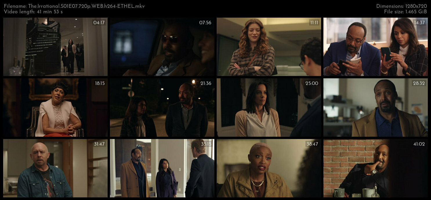 The Irrational S01E07 720p WEB h264 ETHEL TGx