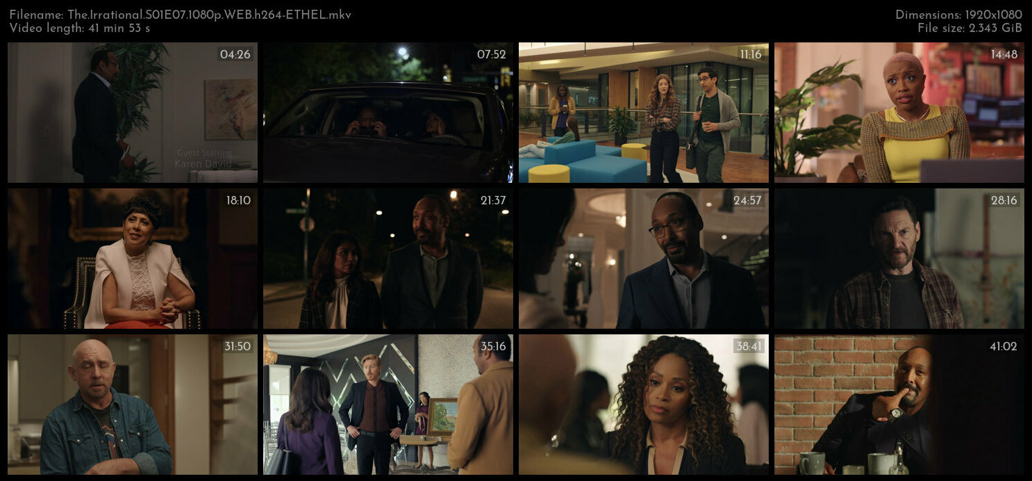 The Irrational S01E07 1080p WEB h264 ETHEL TGx