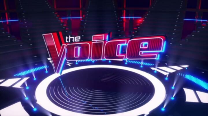 The Voice S24E13 WEB x264 TORRENTGALAXY