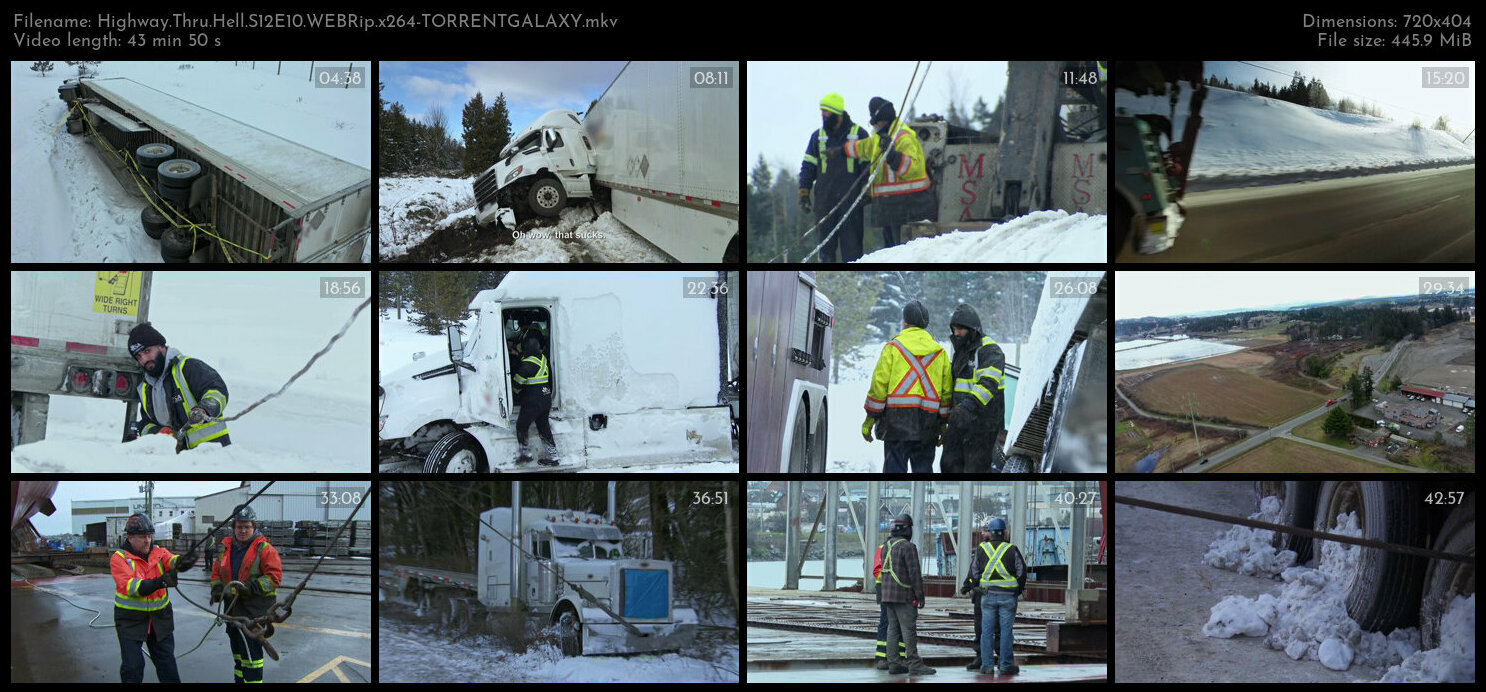 Highway Thru Hell S12E10 WEBRip x264 TORRENTGALAXY