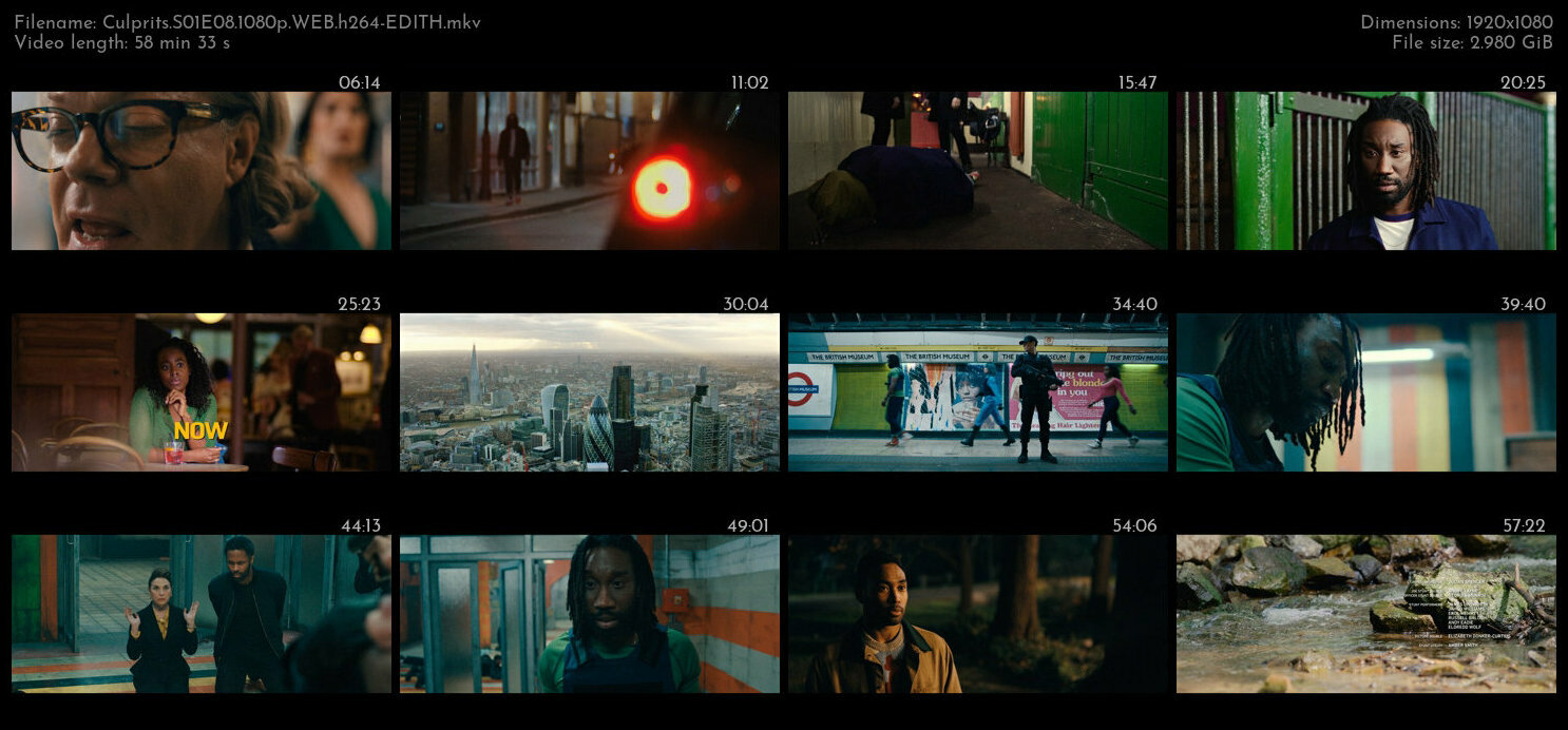 Culprits S01 COMPLETE 1080p WEB h264 EDITH TGx